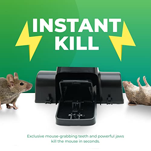 Rat Traps Indoor and Outdoor - 4 Pack Dual-Entry Large Rat Trap Outdoor and Indoor for Home, Garden and Restaurant with 99.9% Trap Rate | Easy to Use Rodent Traps with Safe Hands Free Design - UCatch - size: Pack of 4