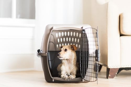 Petmate Dog Crates for Small Dogs & Cat Carriers, Two-Door Plastic Pet Kennel, Top & Front Loading, Made in USA, 24" For Pets Up To 15 lb, Pearl Tan | Plastic pet kennel made in USA, for small pups and kittens, dual entry design, great for travel and vet