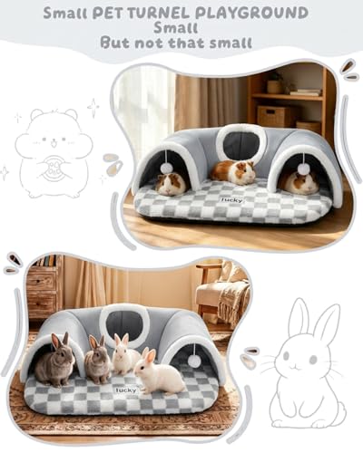Extra Large Guinea Pig Hideout Tunnel, 22Lx16Wx5H Inches, Grey | Pet Tunnel for Dwarf Rabbits, Bunny, Chinchillas, Hamsters, Hedgehogs, Ferrets. Small Animal Tubes & Tunnels. Eay Assembly - color: Grey