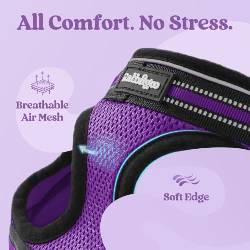 rabbitgoo Cat Harness and Leash Set, Step-in Soft Vest, Purple | Escape Proof, Lightweight, Easy-on & Adjustable, Hook & Loop with Buckle, Reflective, for Kittens & Small Cats Walks, S - color: Purple, size: S
