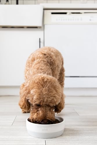 Pearhead Ceramic Bone Appétit Dog Bowl, Small/Medium 2.25 Cups/ 18 oz, Gray - color: Gray Bone Appetit Bowl, size: Small