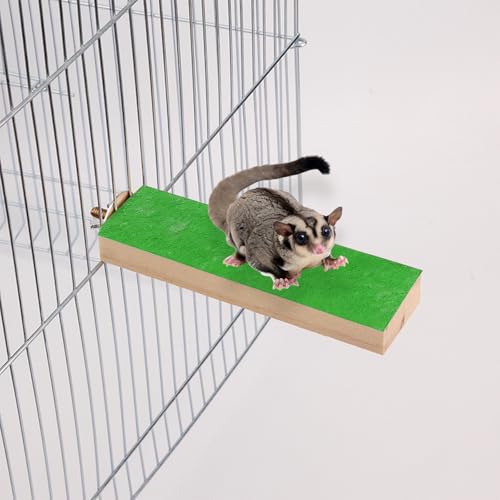 4 Pcs Wood Sugar Glider Toys, Sugar Glider Cage Accessories, Small Animal Climbing Cage Steps, Colorful Sharpening Claws Climbing Stand for Sugar Glider Hamster Chinchillas Rats