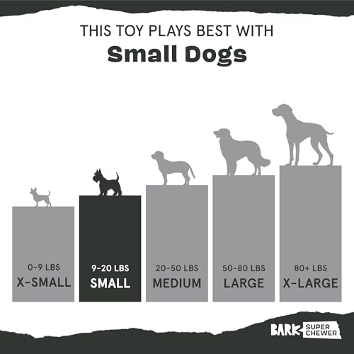 BarkBox Sven the Hedgie Rubber Dog Toy - Toy for Small Dogs | Squeaky Natural Rubber Chew Toy with Soft Spike Textures | Durable - color: Sven the Hedgie - Small