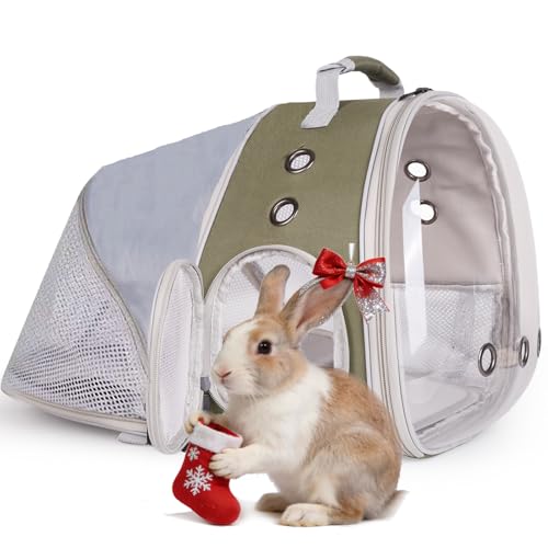 WEVONIGU Expandable Small Animal Backpack Carrier with Clear Bubble Window Large Space Travel Cage for Hedgehog Rat Parrot,Bearded Dragon,Sugar Glider,Airline Approved (Army Green, BE Backpack) - color: Army Green, size: 8.0"L x 7.0"W x 5.0"H