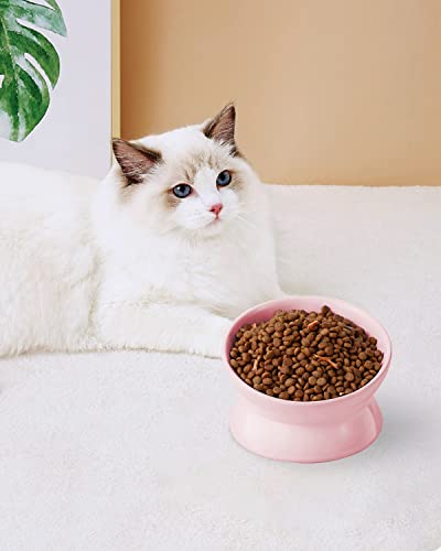 LoeJan Elevated Cat Food Bowl, 5 Oz Ceramic Raised and Tilted Water Bowl, Anti Vomiting and Protect Pets' Spines Dishes for Small Dog, Fat Faced Cat, Kitten (Pink, 1 Pack) - color: Pink