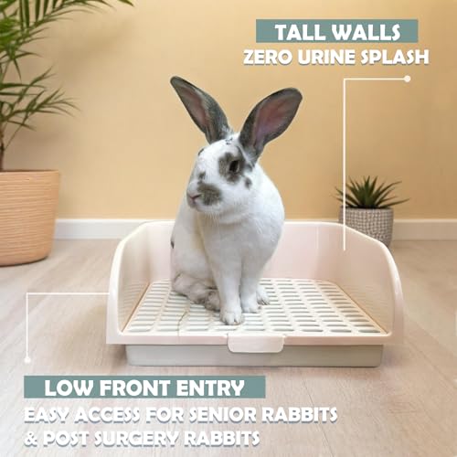 Kiwi & Mora Rabbit Litter Box - Extra Large Bunny Litter Box with Grate | 17.1"x12.8", Pee Pads & Cleaning Set – Potty Training Litter Pan for Large Breed Rabbits, Guinea Pig, Ferret, Chinchilla