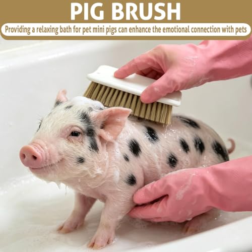 Toys for Pigs, Enrichment scratching Brush, Stress Relief for Pets | 2 Pcs Self-Grooming Tool, Increase Enjoyment, Pet Pig Supplies, Outdoor, for Pigsties, Fences, Wooden Stakes and Courtyards