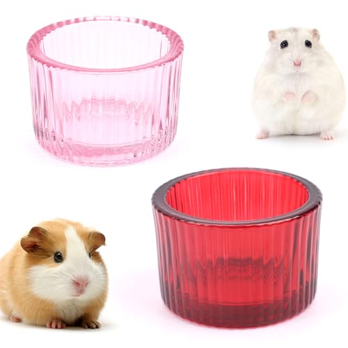 2 Pack Hamster Bowl Glass Food and Water Dish Anti-Turning Colorful Feeder for Dwarf Syrian Hamster Gerbil Mice Rat (Random Color)