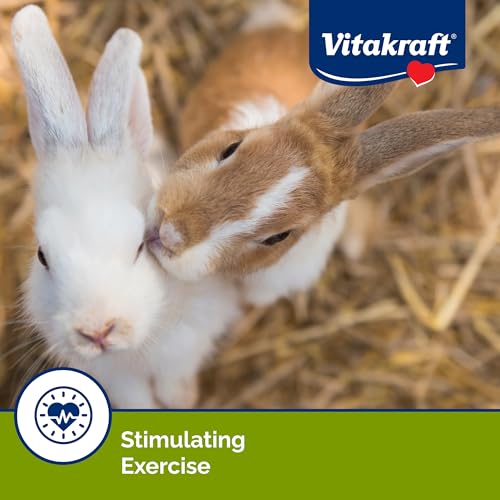 Vitakraft Crunch Sticks Rabbit Treat Wild Berry and Honey Flavor with Natural Grains and Honey Enriched with Essential Nutrients Baked on Wooden Stick to Encourage Chewing and Long Lasting Enjoyment