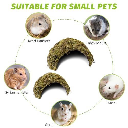 BNOSDM Hamster Hideout Natural Mossy Cave Hamster Houses and Hideouts Moss Covered Coconut Enclosed Hiding Hut for Mice Habitat Hamster Cage Accessories for Dwarf Gerbil Syrian Fancy Mouse (Large) - size: Large-1Pcs