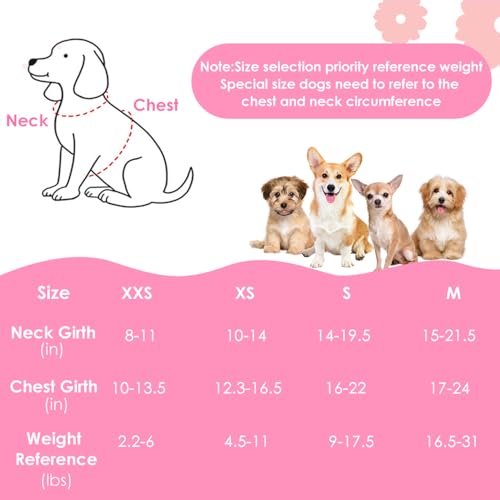 Lukovee Puppy Harness and Leash Set, No Pull Step in Lightweight Mesh Vest | Soft, Reflective, Easy Put on and off, Adjustable, Breathable Air Mesh, with 51in Leash for Walking Hiking (Pink, XXS) - color: Pink, size: XX-Small (2.2-6 lb)