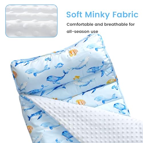 david's kids Toddler Nap Mat with Removable Pillow and Minky Fleece Blanket, Ultra Soft Slumber Bags for Boys, Perfect for Preschool, Daycare, Kids Sleeping Bags with Rollup Design, 50"x20", Whale - color: Whale