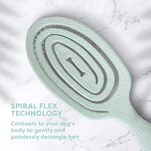 BioSilk for Pets Eco Friendly Detangling Pin Brush for Dogs, Gentle Dog Grooming Brush Designed to Help Remove Knots and Tangles and Support Healthy Coats for All Dogs | Gentle grooming brush removes knots and tangles, supports healthy coats for all dog b