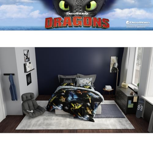How to Train Your Dragon Kids Bedding Super Soft & Cozy Reversible Microfiber Comforter and Sheet Set with Sham, 5 Piece Twin Size, (Officially Licensed Product) By Franco - color: How to Train Your Dragon, size: 5 Piece Twin Size