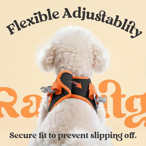 rabbitgoo Dog Harness Small Sized and Leash Set, Step in Soft Vest | Breathable Mesh, Easy Wear with Hook & Loop, Light and Reflective for Walking, Multi-colored, Black & Orange, XXS - color: Black & Orange, size: XXS (Chest: 12.4"-14.2")
