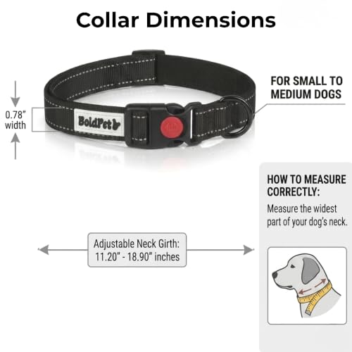 Retractable Dog Leash with LED Flashlight (2 AAA Batteries Incl) & Reflective Padded Dog Collar -10ft Tangle-Free Heavy Duty Leash Set for Night Walking Safety-Puppy Essentials (Up to 44lbs)