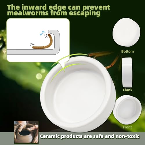 Escape-Proof Reptile Food Dish Bowl, Ceramics Small Animal Bowls for Lizard Frog Snake Turtle Gecko Hamster Food Bowl for Anti Living Foods Escape, Reptile Water Dish (M,2.73inches) - size: M,2.73inches