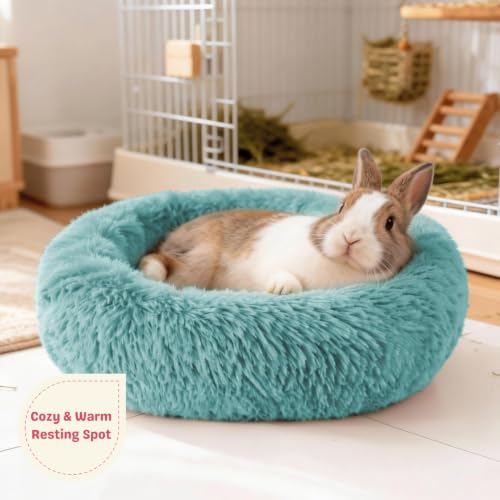 Rabbit Bed, Long Plush Donut Shaped Bunny Hideout - Turquoise | Washable Soft Pet Bedding Mat for Guinea Pig, Kitten, Chihuahua & Small Pets for Snuggling Resting - color: Turquoise