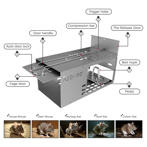 2 Pack Humane Rat Trap Live Mouse Trap Indoor Catch and Release Animal Cage Multi Large Bait Outdoor Reusable Chipmunk Mice Voles Rodent that Work (2)