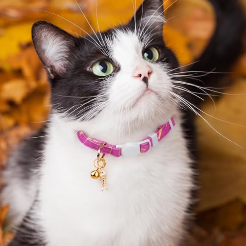 2 Pack Cotton Cat Collar Orange and Purple Fish Cute Kitten Cat Collar | Breakaway Breathable Soft material With cute pendants with Bell - color: Orange&Purple