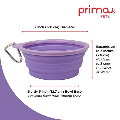 Collapsible Silicone Water Travel Bowl with Clip for Dog and Cat, Portable and Durable Pop-up Feeder for Convenient On-The-go Feeding – Size: Large (5 Cups) Purple – 2 Pack - color: PURPLE, size: LARGE (5 CUPS) - 2 PACK