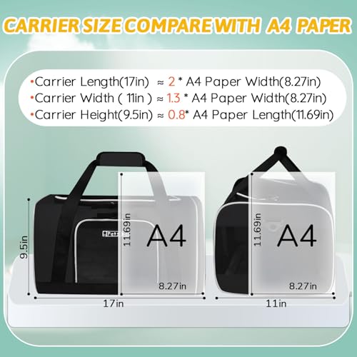 Small Pet Carrier 17" L x 11" W x 9.5" H Airline Approved, Black | for Alaska Airlines, Lockable Safety Zippers and Anti-Scratch Mesh, Pets Under 10 lbs - color: Black, size: 17.0"L x 11.0"W x 9.5"H