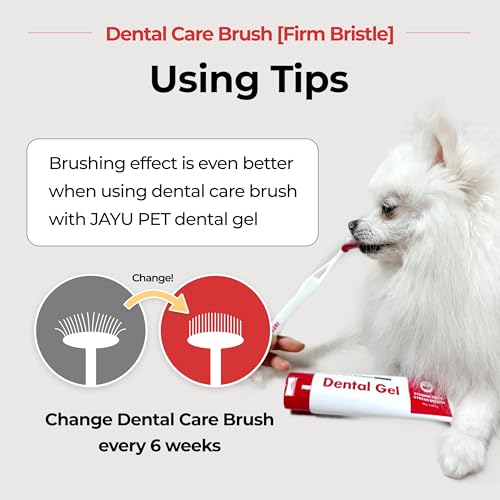 JAYU PET Dental Care Brush, Firm Bristles, 1ea | Resilient Dog Toothbrush, Cat Toothbrush, Tartar & Plaque Removal, Horizontal Head, S-Curved Body - color: Firm Bristles, size: 1 Count (Pack of 1)