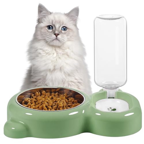 Dog Bowls, Cat Food and Water Bowl Set with Water Dispenser and Stainless Steel Bowl for Cats and Small Dogs - Green - color: Green