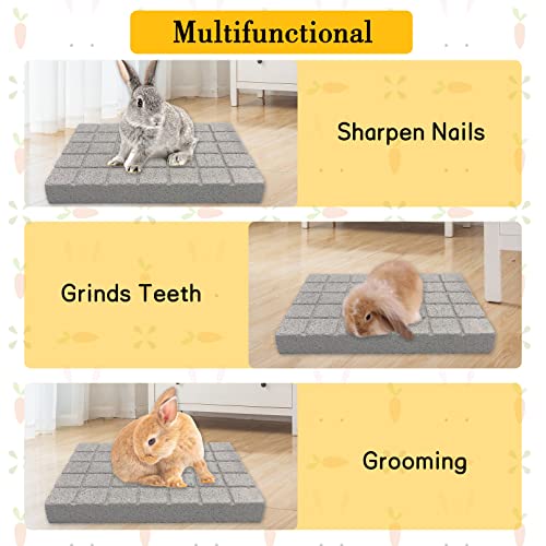 BNOSDM Rabbit Grinding Claw Pads 2Pack Bunny Scratch Foot Pads Natural Hamster Lava Stone for Teeth Grinding White Rabbit Scratching pad Chew Toy for Guinea Pig Ferret Chinchilla Mouse - color: White 2x Large