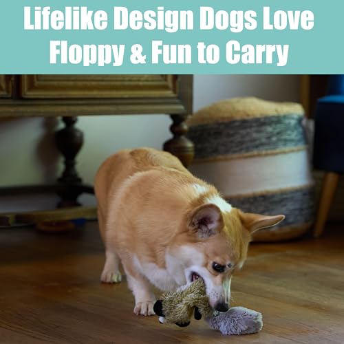 SPOT Skinneeez Raccoon 14 Inch Stuffing-Free Plush Dog Toy – Soft, Mess-Free Toy with One Squeaker for Small & Medium Dogs, Best for Light to Moderate Chewers - style: Mini Raccoon