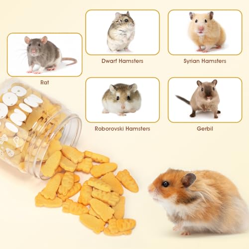 Abizoo Hamster & Gerbil Treats, Crispy Baked Hamster Cookies | Chew Treats for Small Animals, Crunchy Texture for Chewing, Supports Digestion & Dental Health, Made with Carrot & Yeast