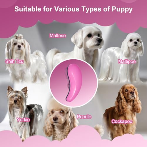 Small Dog Brush, Skin-friendly Soft Bristles (Pink) | Puppy Hair Brush, Massage and Bath Supplies, Pet Grooming Tool for Teddy, Yorkies, Maltese, Shih Tzu, Chihuahua - color: Pink