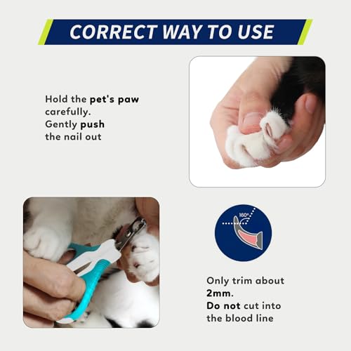 Pet Nail Clippers U07.1, Professional Claw Trimmer, Bended Scissor Special for Cats, Kittens, Dogs, Puppies, Small Animals, White/Pine Green - color: #01 White/Pine Green