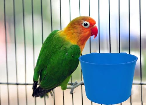 10pack Bird Feeder Waterer Food Bowl for Cage Chicken Hanging Water Cup Bottle Treats Dish Feeding Container Box for Coop Seed Dispenser for Pigeon Quial Parrot - color: Blue 10 packs