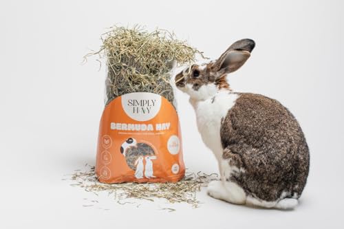 Bermuda Hay – High-Fiber, Low-Calcium Coastal Grass for Rabbits, Guinea Pigs & Small Pets – All-Natural, Hand-Packed, Timothy-Allergy Friendly (40 oz) - size: 2.5 Pound (Pack of 1)