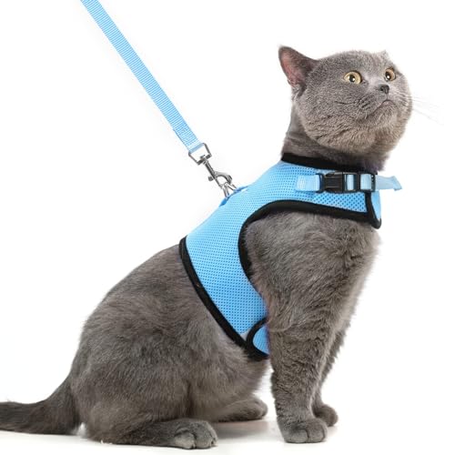 PUPTECK Soft Mesh Cat Vest Harness and Leash Set Puppy Padded Pet Harnesses Escape Proof for Cats Small Dogs Rabbits Bunny - color: Blue, size: XL(NECK 10.5"-13", CHEST 14"-17", 10-17 lbs)