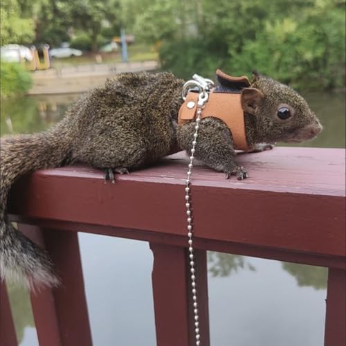 3 Pack Squirrel Harness and Leash Set - Adjustable Soft Leather & Traction Rope Strap Anti-Biting Chainfor Small Pet Walk Jogging Bearded Dragon Reptile Squirrel Rat