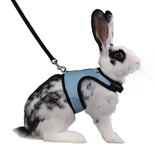 Niteangel Adjustable Soft Harness with Elastic Leash for Rabbits (L, Blue) - color: Blue, size: L