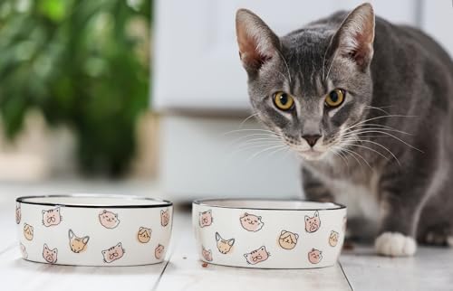 Pearhead Ceramic Cat Bowl, Holds 12 oz, Cute Cat Face Design - color: Blush Cat Faces, size: Single Bowl