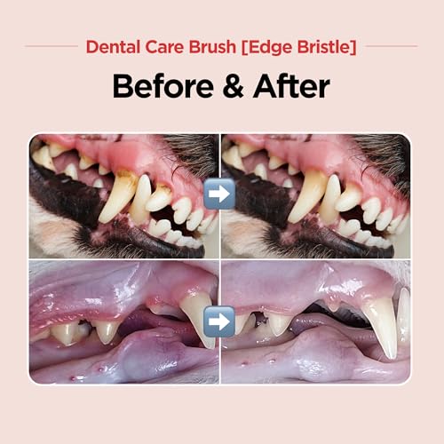 JAYU PET Dental Care Brush (Edge Bristles) 1ea - Micro Round Head Dog Toothbrush, Cat Toothbrush, Dental Care, Perfect for Kitten & Small Breed with End-tuft Diagonal-Shaped Bristle & Easy Grip Handle - color: Edge Bristles, size: 1 Count (Pack of 1)