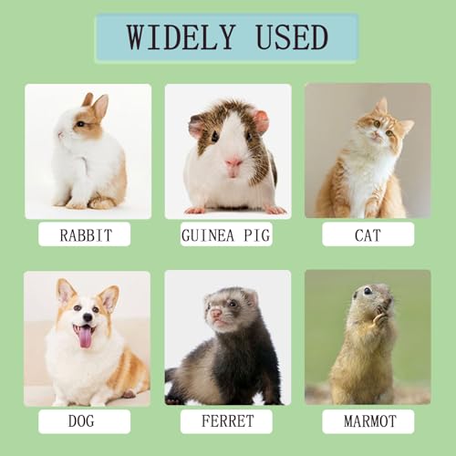10pcs Clear Disposable Bird Cage Liners, Large Size 28x20in BirdCages Litter Box Plastic Film Cover, Pet Crate Tray Covers for Bird Parakeet Bunny Finches Ferret Chinchilla Small Animal (10)