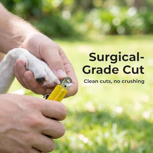Deluxe Dog Nail Clippers for Large Dogs - Professional USA-Made Guillotine Trimmer - Heavy Duty Steel, Yellow - size: Large Clipper