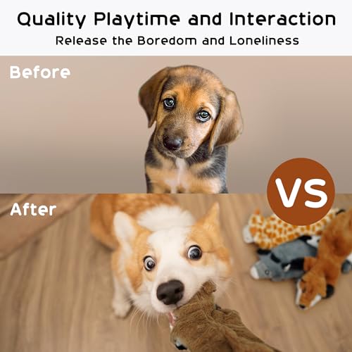 Nocciola Dog Squeaky Toys, 5 PCS Crinkle Plush Dog Toys, No Stuffing Dog Toys for Small Medium Large Dogs, Stuffless Puppy Toys for Boredom - style: Minimalist