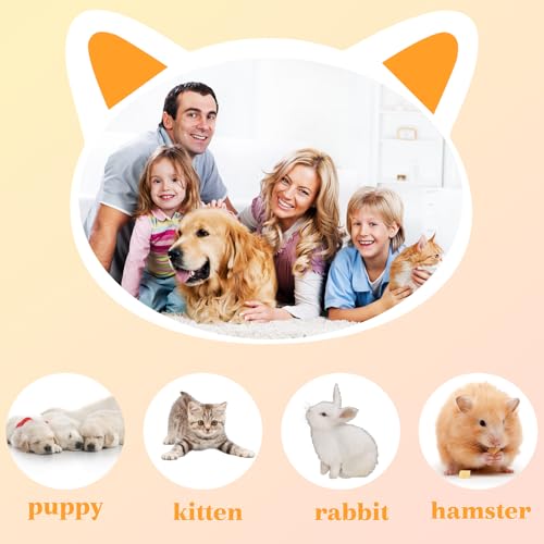 3 Pack Kitten Silicone Bottle Feeding Kit, Medium Flow, Yellow, 75ml, BPA Free, Anti-Colic, Dishwasher Safe - color: Yellow, size: Medium