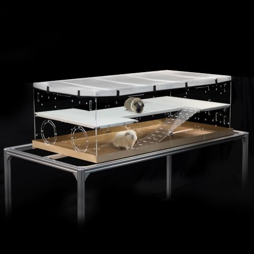 GuineaLoft™ Model-A3Loft 2-Level Acrylic Guinea Pig Cage w/Loft | Includes 2nd Floor Loft, Ramps, Beams & Gauze Lid; Large 4'x2'x1.3' Expandable C&C Cage Also Works for Bunnies & Hedgehogs - color: Model-A3