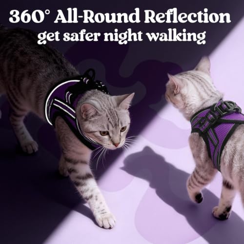 rabbitgoo Cat Harness and Leash Set, Step-in Soft Vest, Purple | Escape Proof, Lightweight, Easy-on & Adjustable, Hook & Loop with Buckle, Reflective, for Kittens & Small Cats Walks, S - color: Purple, size: S