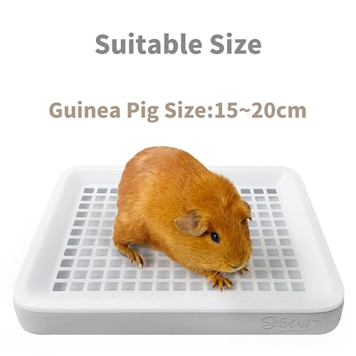 Generic Guinea Pig Toilet, Small Animal Potty Trainer Corner, Square Rat Litter Bedding Box with Small Broom, Dustpan, Small Pet Litter Toilet for Guinea Pigs, Chinchilla, Ferret,Galesaur…