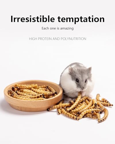 Niteangel Small Animal Snack & Treats - Dried Worms & No Additive | Delivers Essential Vitamins & Minerals- Small Animal Natural Treat for Dwarf Syrian Hamsters Gerbils Mice Degus or Small Pets