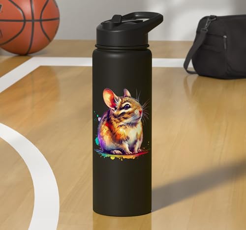 Degu Stainless Steel Insulated Water Bottle - color: Black