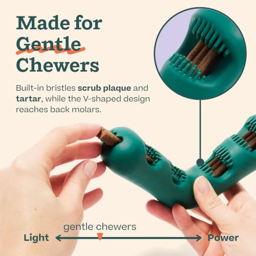WOOF Bite n' Brush Dog Dental Chew Toy for Small Dogs 10-25 lbs | Dog toothbrush toy, V-shaped design, reusable, easy to clean, dental dog toy - size: Small